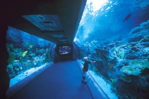 Aquarium of the Pacific Long Beach | Long Beach HDR Real Estate Photography| Long Beach Virtual Tour Photographer