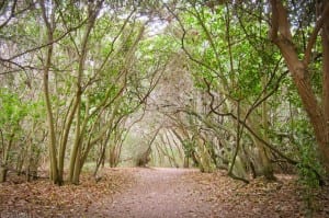 El Dorado Nature Center Long Beach | Long Beach Real Estate Photographer | Virtual Tour Company Long Beach