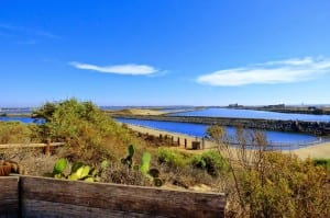 Bolsa Chica Ecological Reserve | Architectural Photography Company Huntington Beach | Property Photographer Huntington Beach