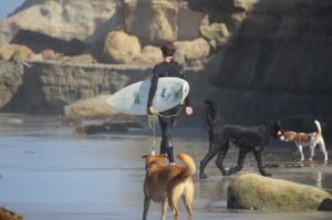 DEl Mar Dog Beach | Del Mar HDR Photographer | Del Mar HDR Photography Services